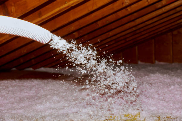 Best Insulation Removal  in Plentywood, MT