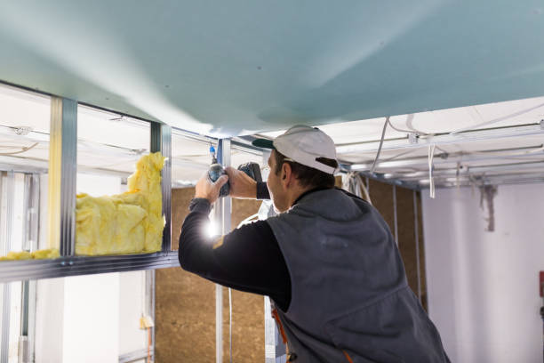 Best Home Insulation Services  in Plentywood, MT