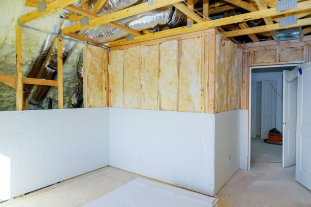 Best Best Insulation Companies  in Plentywood, MT
