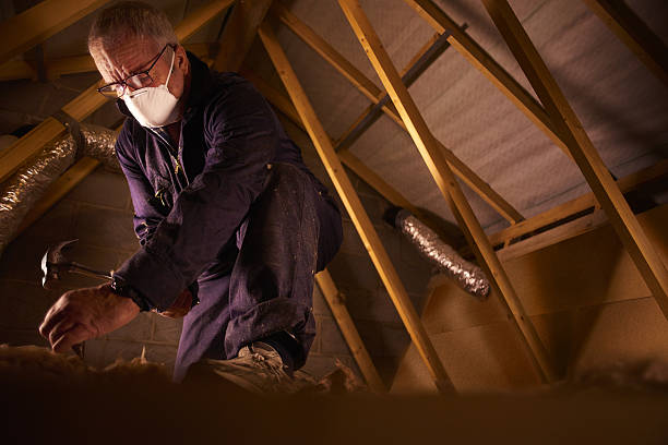 Best Insulation Contractors for Homes  in Plentywood, MT